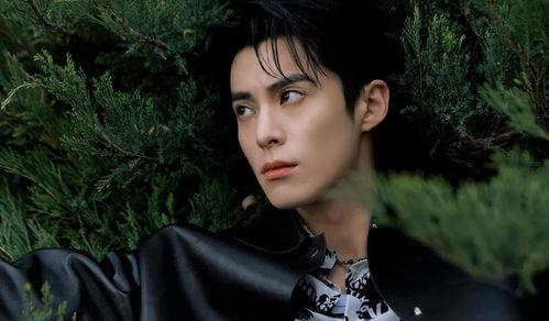 娱乐大爆料 王鹤棣视频,娱乐大爆料揭秘幕后故事 第1张 娱乐大爆料 王鹤棣视频,娱乐大爆料揭秘幕后故事 第1张